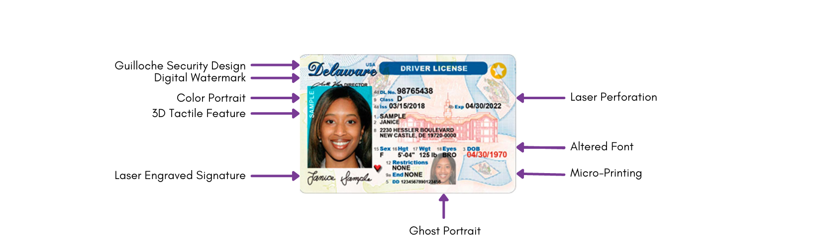 License Security Features Graphic