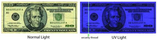20 dollar bill with and without UV