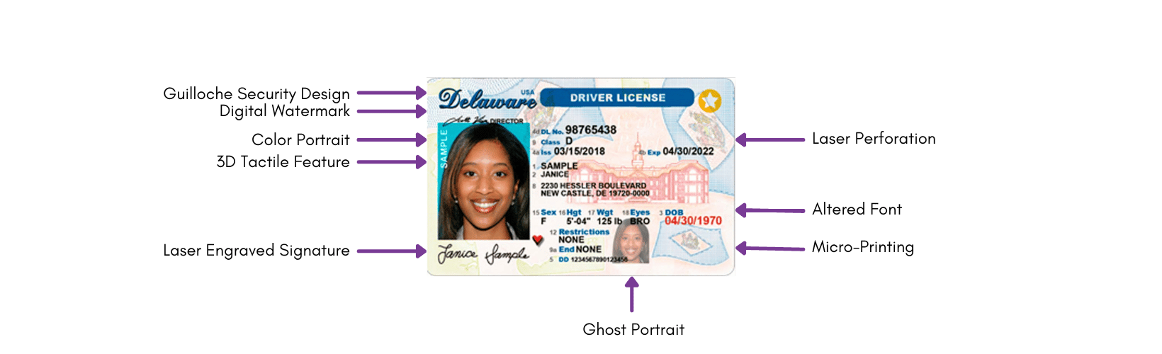 License Security Features Graphic