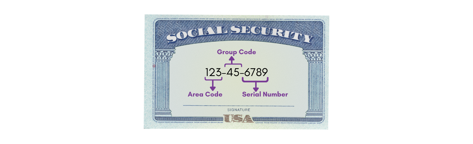 Social Security Graphic
