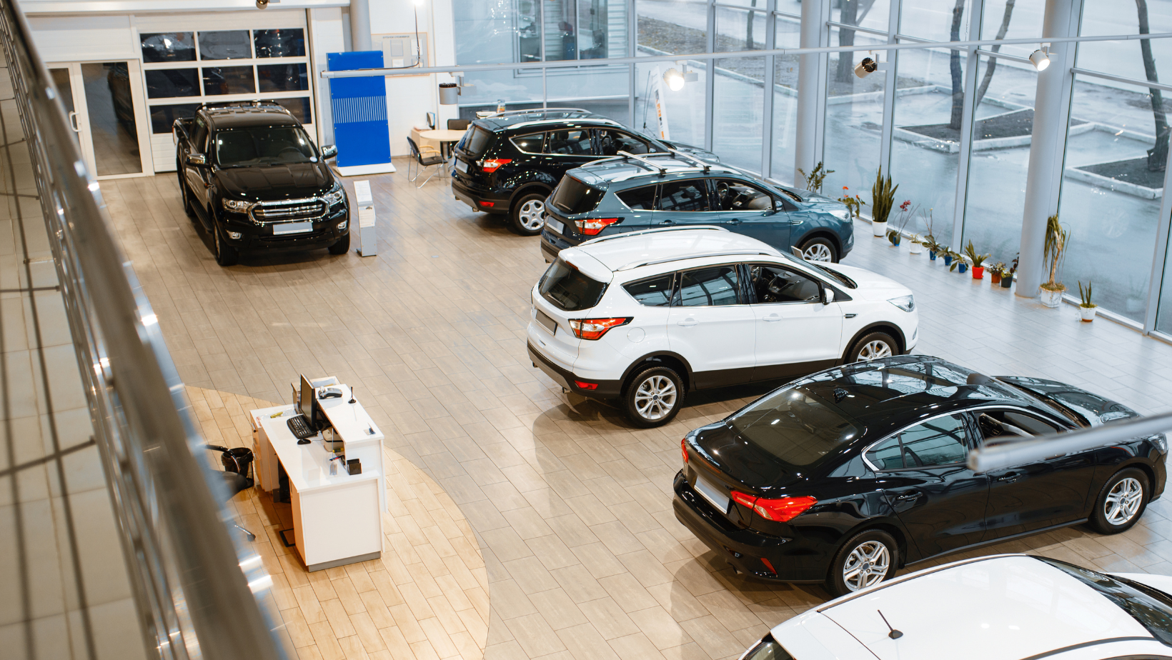 Inside car dealership cars are lined up.