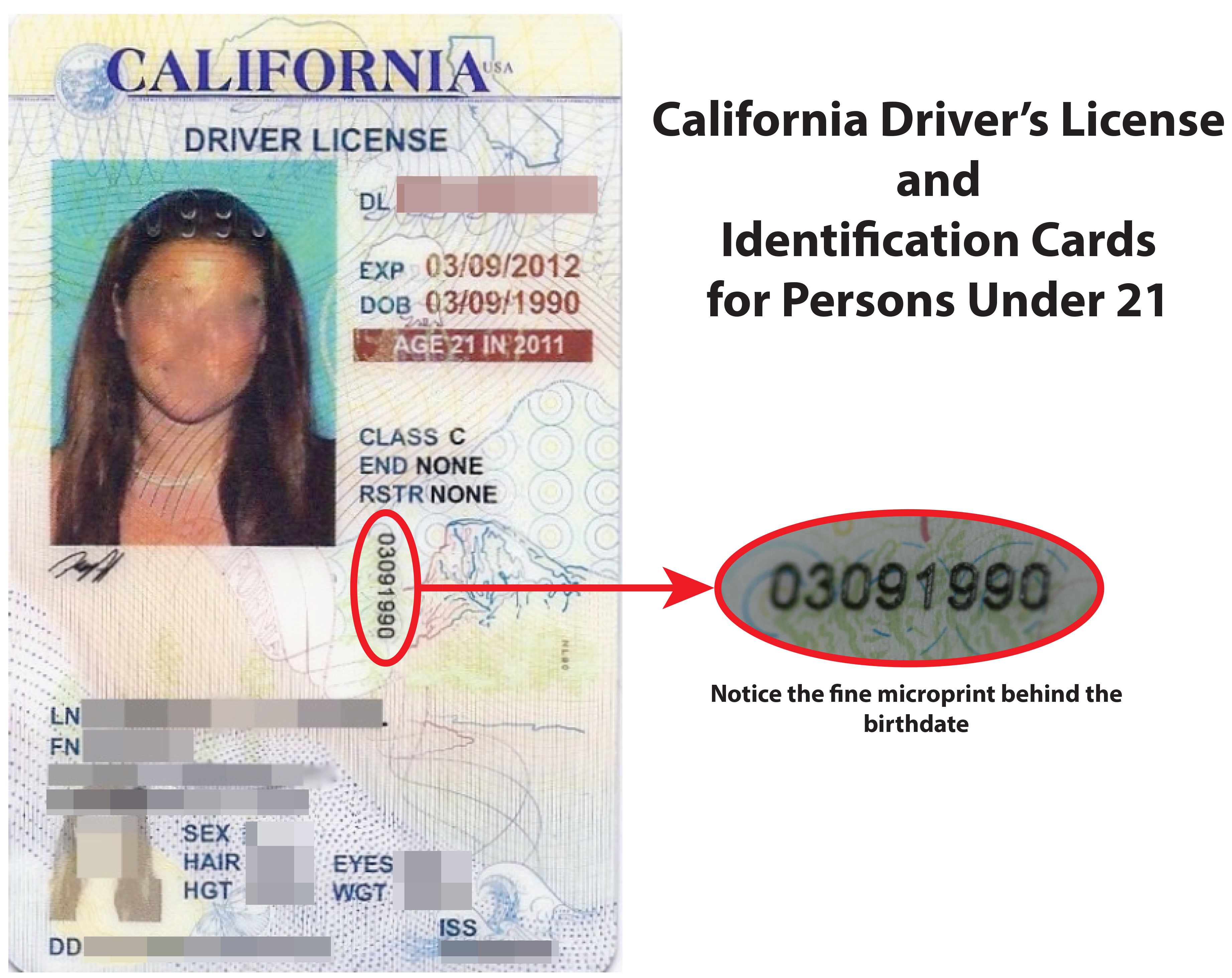 drivers license number california generator