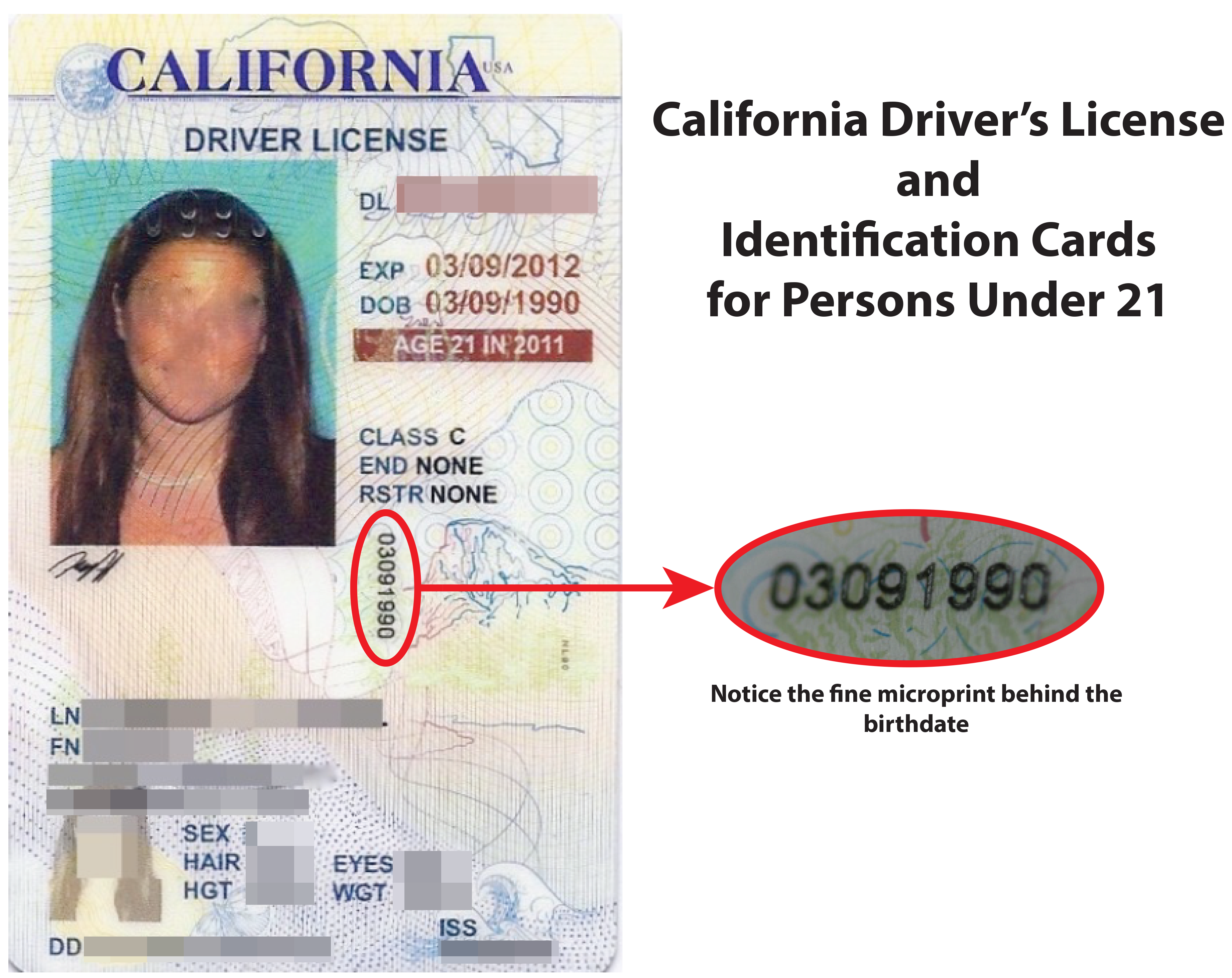 driver license validation check